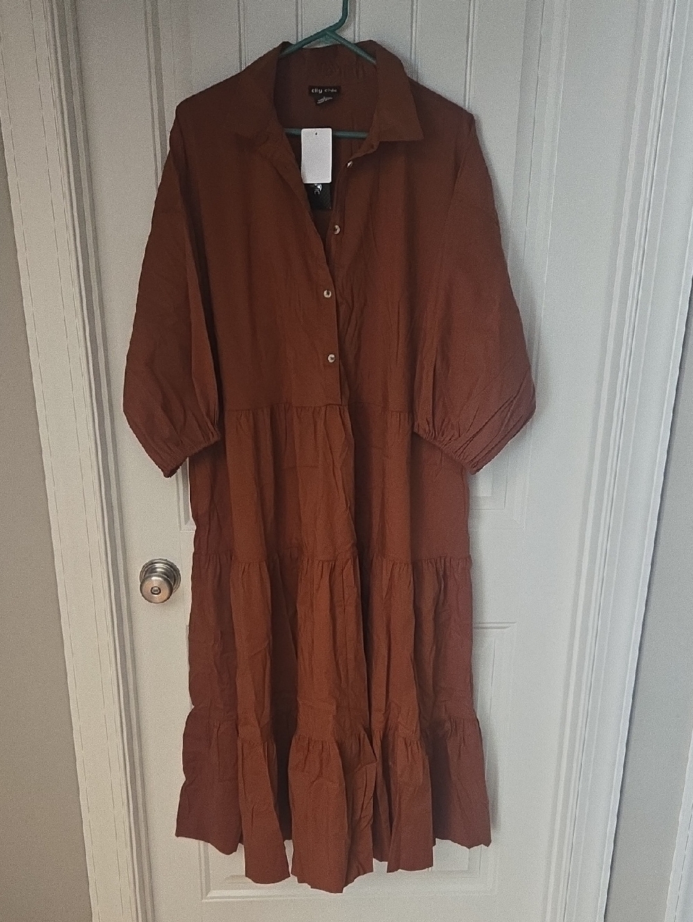 City Chic Rust-Orange Button Front Dress